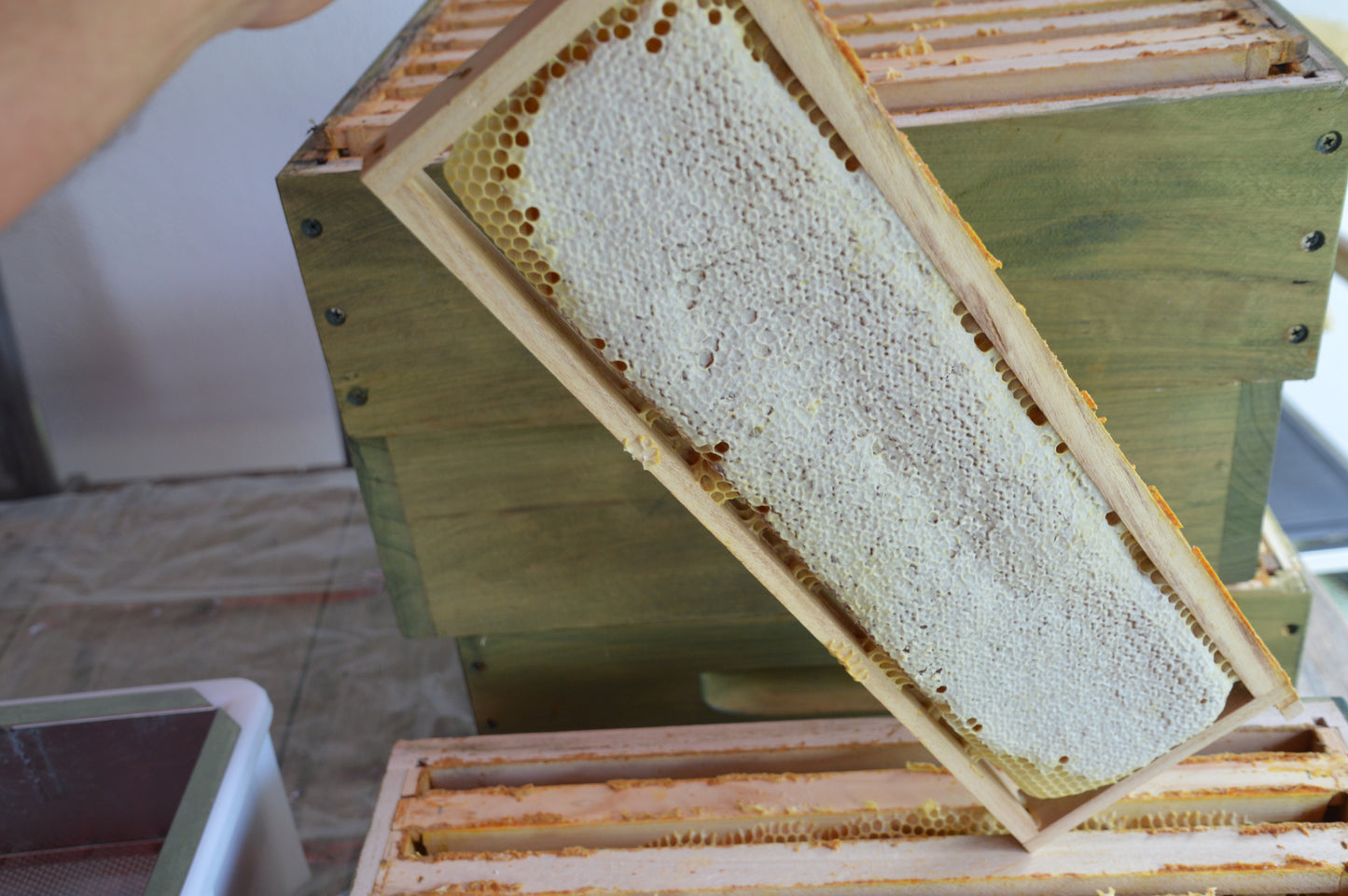 5 Stück 100% Bienenwachs weiß oder gelb TischKerze Leuchterkerze Tafelkerze 2,5 x 24,5 cm, aus BIOLAND Imkerei, Bienenwachskerze (Bienenwachs weißlich)